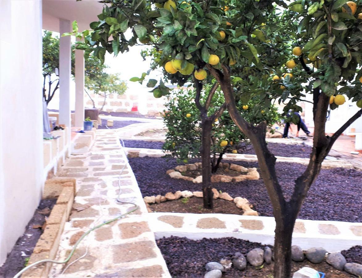 Apartment In Arico